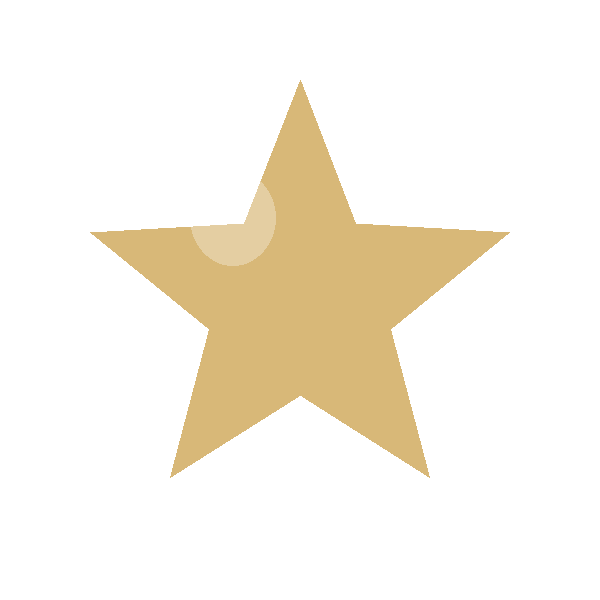 Star Charm